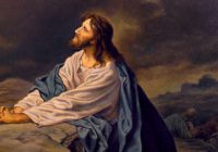 Intercede por nosotros