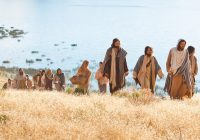 El seguimiento de Cristo