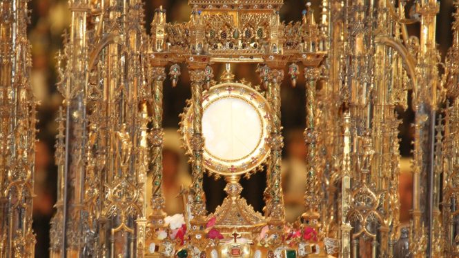 Acompañar al Señor