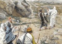 La opinión que tenemos sobre Jesús
